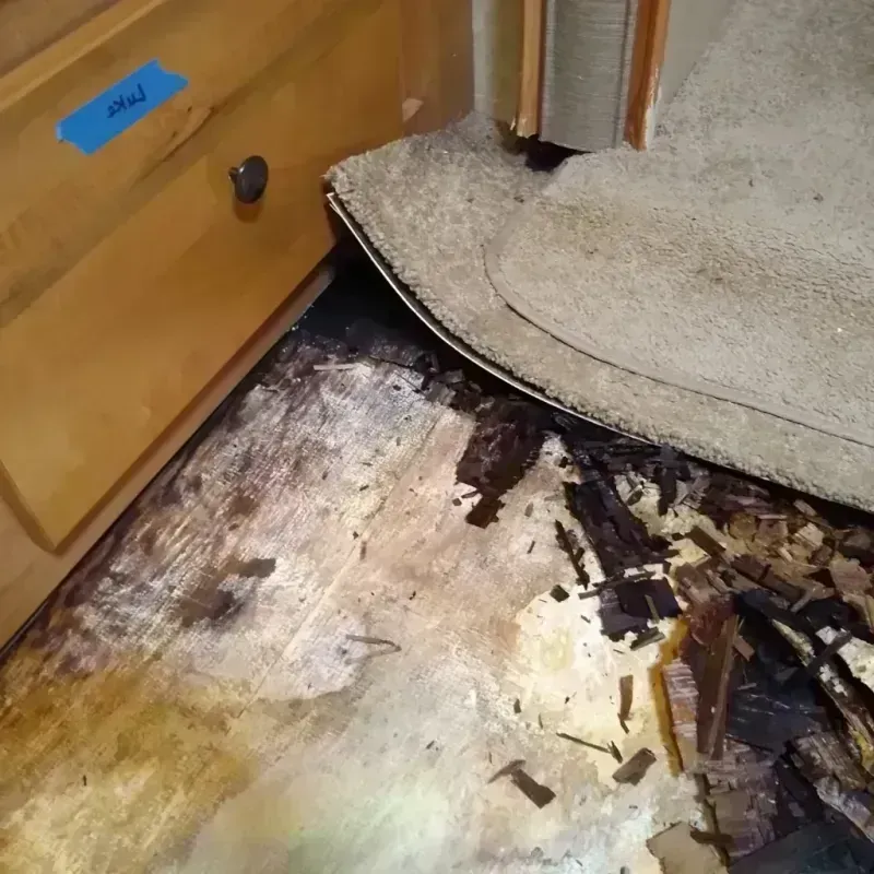 Wood Floor Water Damage in Jacksonville, AL